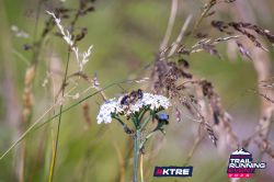 2023-08-26 KTRE 2023 - DSC04328